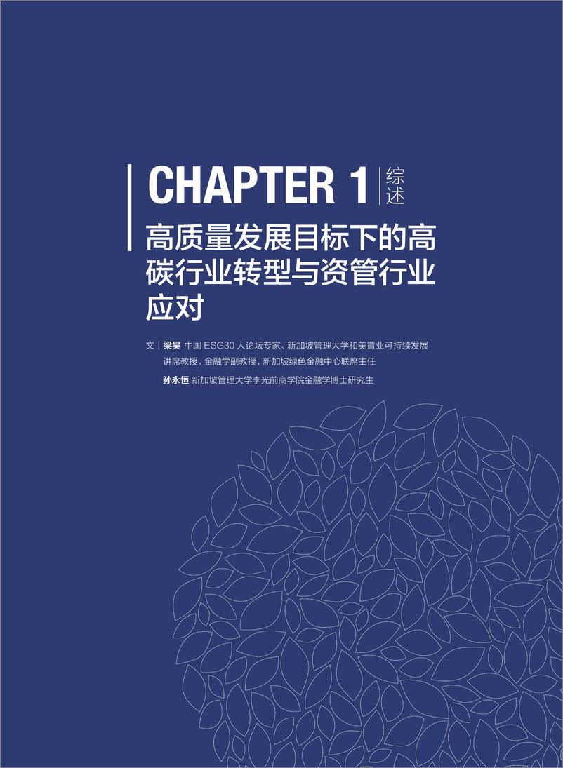 《财新智库_把握气候风险与机遇——机构投资者如何应对高碳行业转型报告_2024》 - 第7页预览图