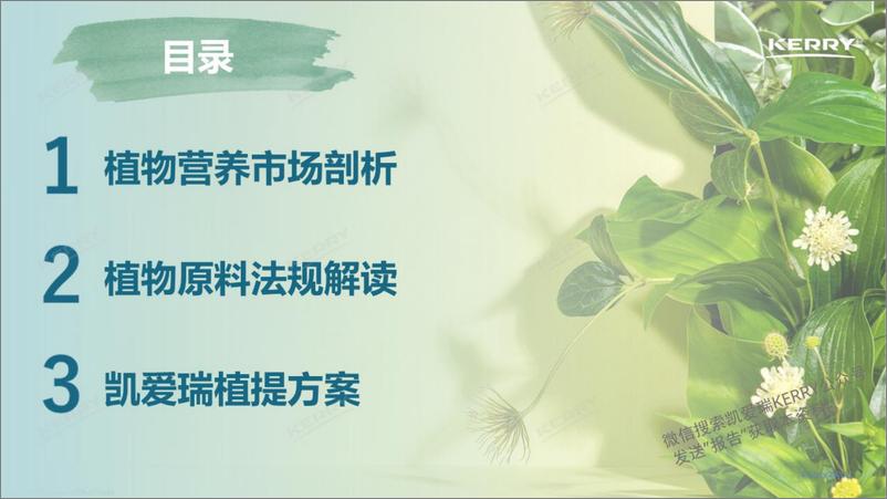 《探索植物营养新潜能-下载版-final＋version-35页》 - 第2页预览图