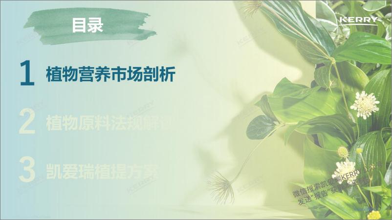 《探索植物营养新潜能-下载版-final＋version-35页》 - 第3页预览图