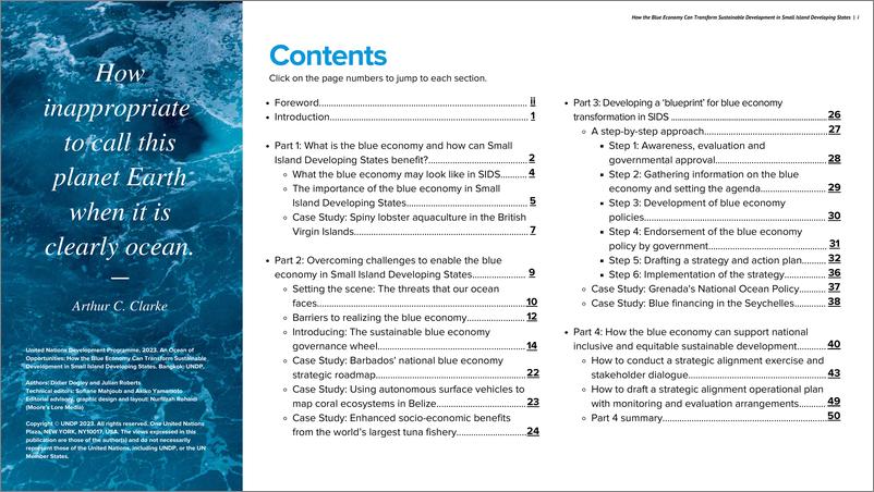 《UNDP-行动简报：机会的海洋-蓝色经济如何改变小岛屿发展中国家的可持续发展（英）-2023.2-55页》 - 第3页预览图