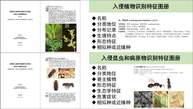 《入侵物种普查关键环节探讨-16页》 - 第6页预览图