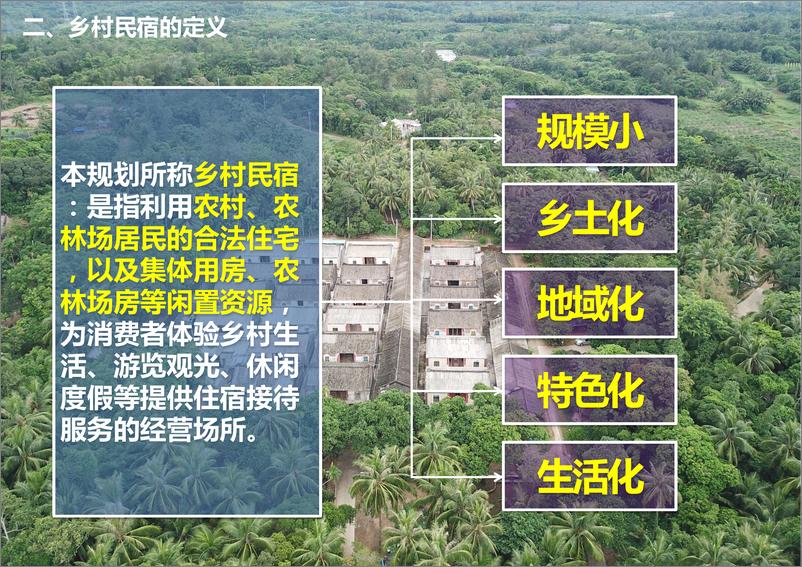 《海南省乡村民宿发展规划》 - 第5页预览图