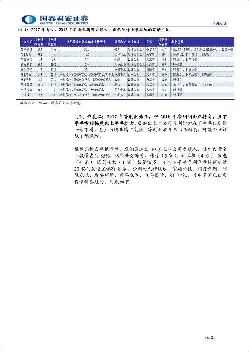 《专题研究：从2018年报看上市公司发债人潜在风险-20190422-国泰君安-21页》 - 第4页预览图