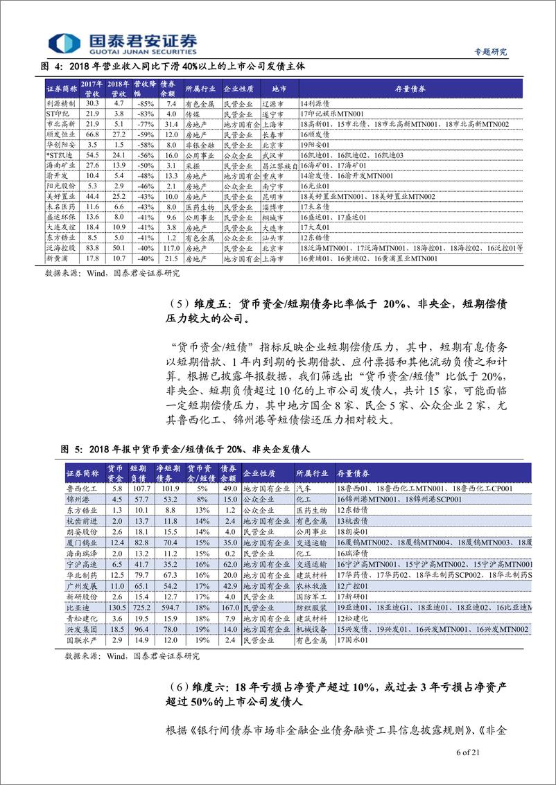 《专题研究：从2018年报看上市公司发债人潜在风险-20190422-国泰君安-21页》 - 第7页预览图