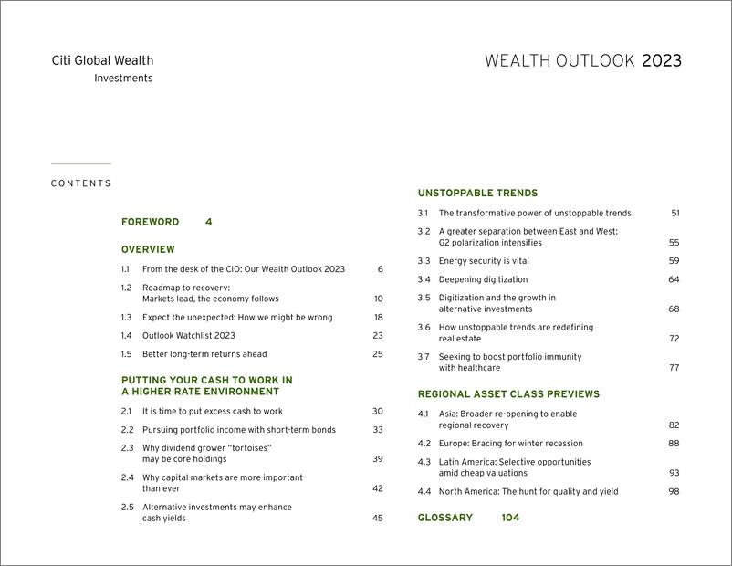 《花旗全球财富投资：2023年财富展望报告-2023-112页》 - 第4页预览图