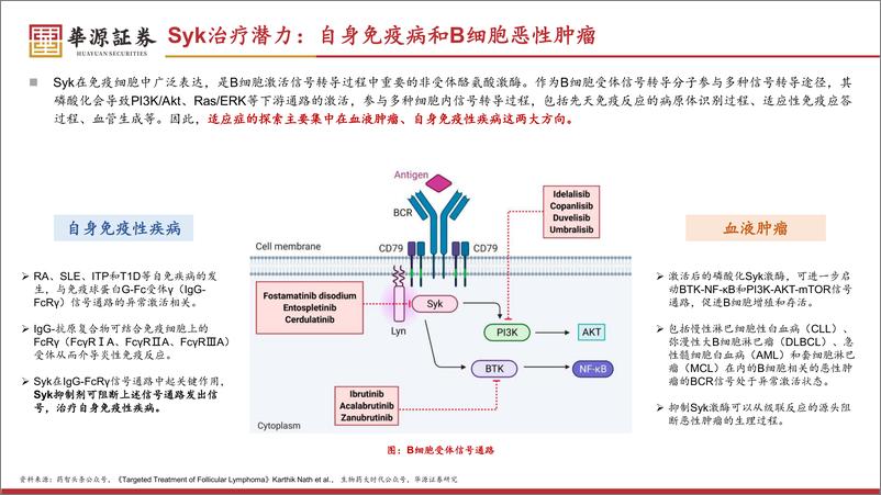 《华源证券-医药生物行业专题：和黄医药前瞻研究-一--索乐匹尼布-Syk-ITP治疗领域新希望》 - 第5页预览图