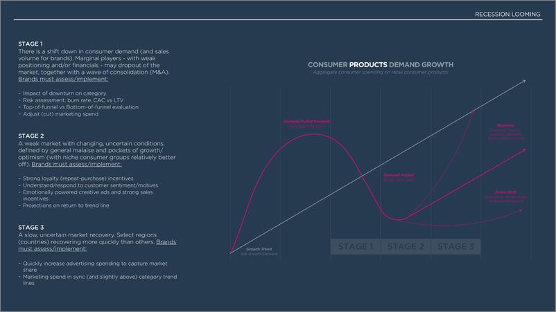 《Totem：2023经济衰退的营销策略报告（英文版）》 - 第3页预览图