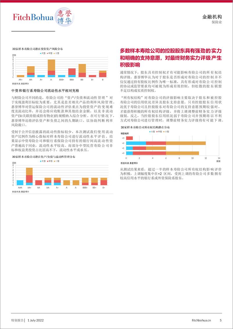 《惠誉博华寿险评级标准解读及2022年信用测试质量分布-6页》 - 第6页预览图