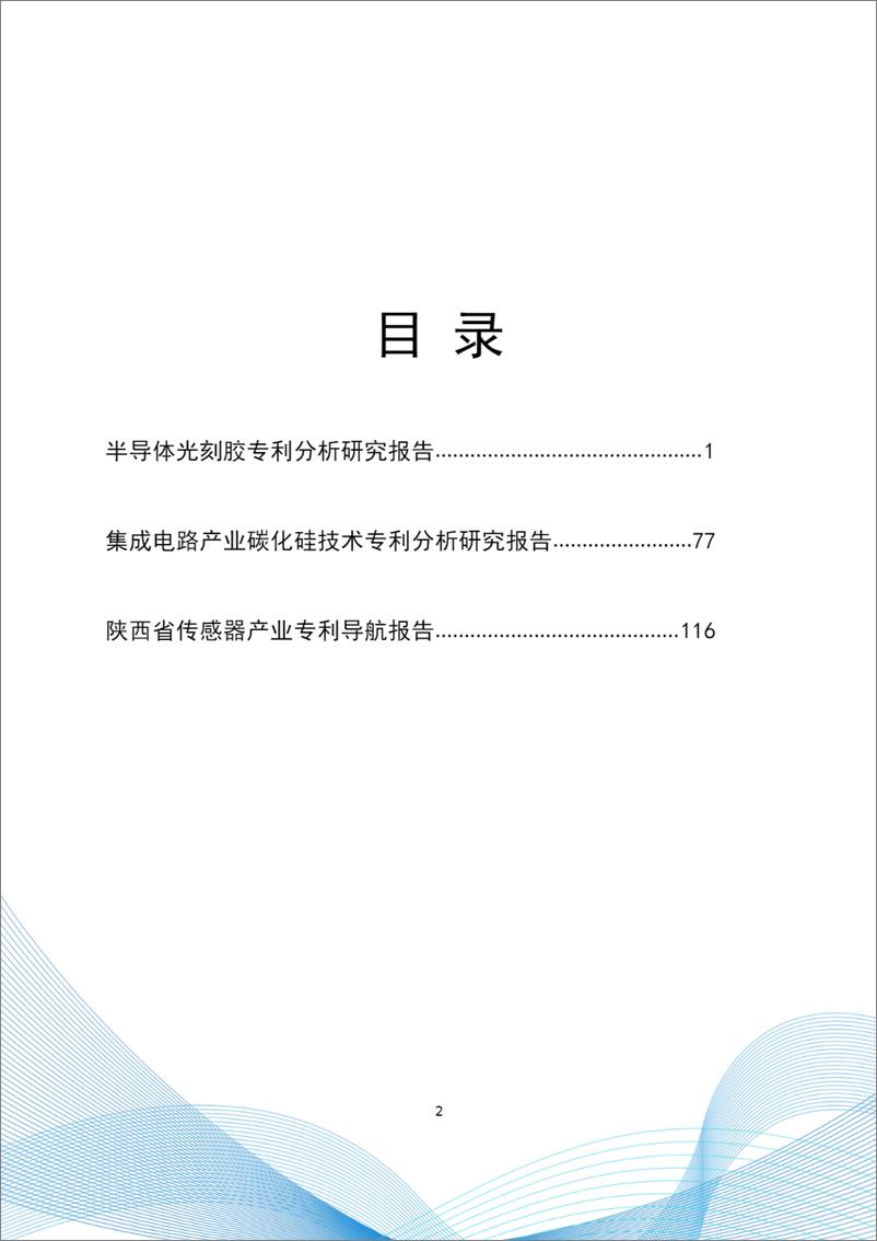 《2024年知识产权公共服务机构信息服务成果共享报告集-信息技术产业分册》 - 第3页预览图