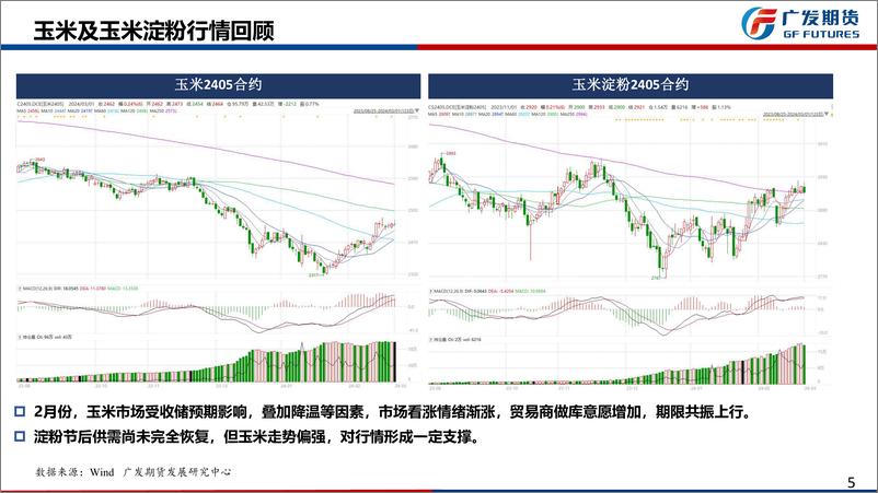 《玉米月报：收储支撑市场情绪，3月仍面临集中上量压力-20240303-广发期货-23页》 - 第5页预览图