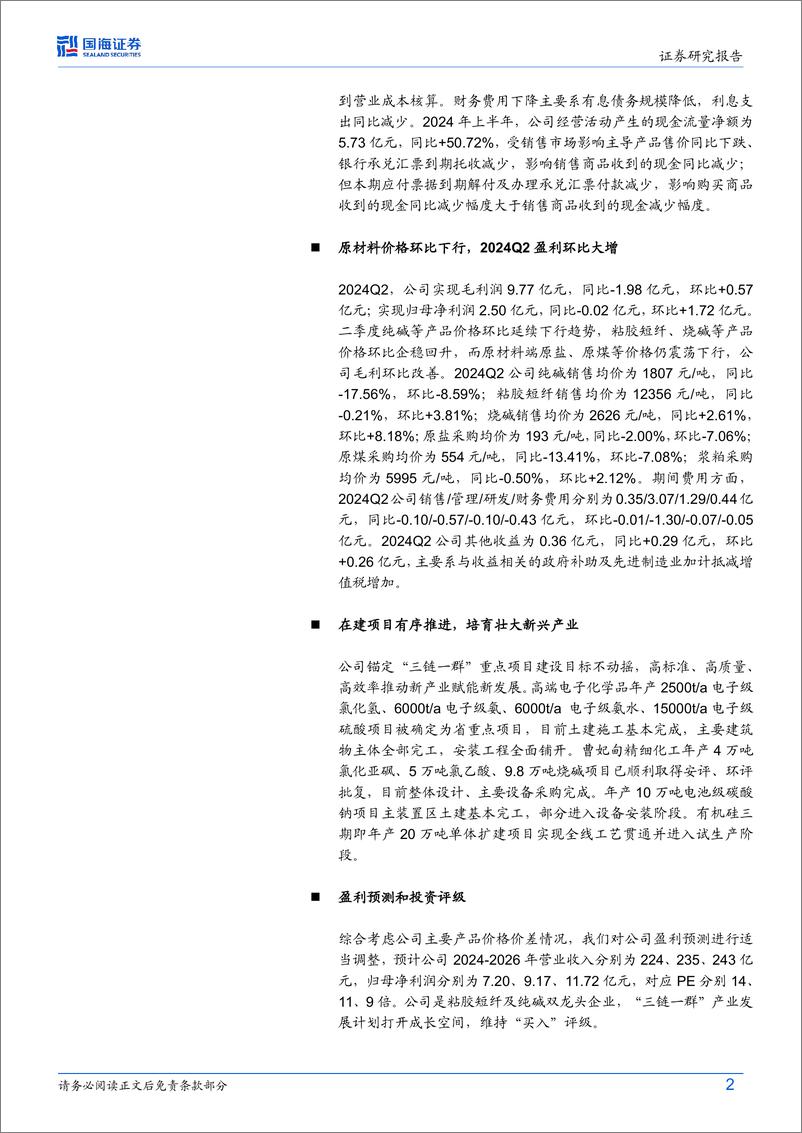 《三友化工(600409)2024年中报点评：2024Q2业绩同比大增，在建项目有序推进-240831-国海证券-12页》 - 第2页预览图