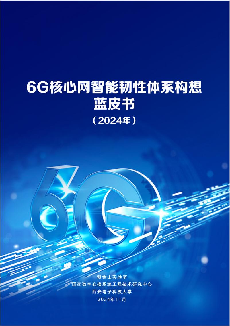 《6G核心网智能韧性体系构想蓝皮书_2024年_》 - 第1页预览图