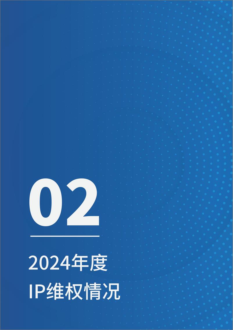 《盛趣游戏：2024年度IP维权报告-24页》 - 第5页预览图