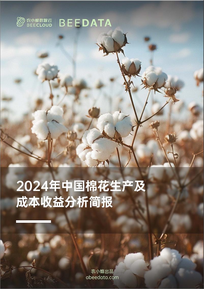 《农小蜂-2024年中国棉花生产及成本收益分析简报-20页》 - 第1页预览图