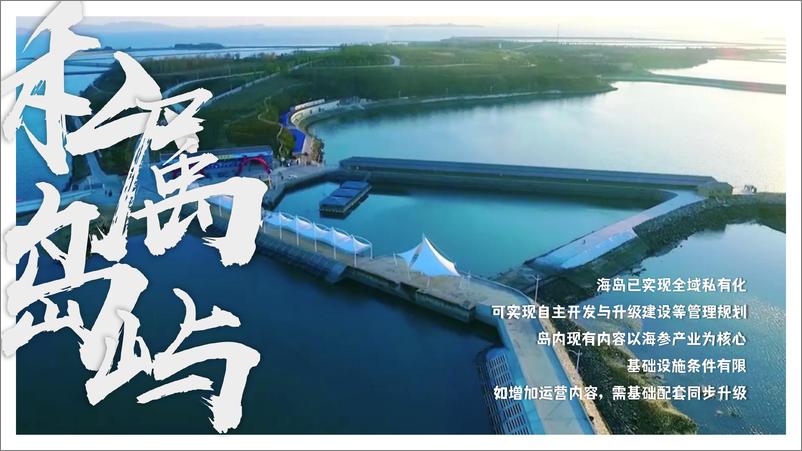 《2024主题海岛文旅项目内容规划及项目运营报告》 - 第4页预览图