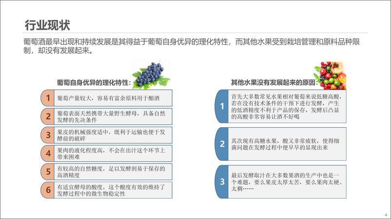 《2022年果酒行业蓝皮书-博晓通》 - 第5页预览图