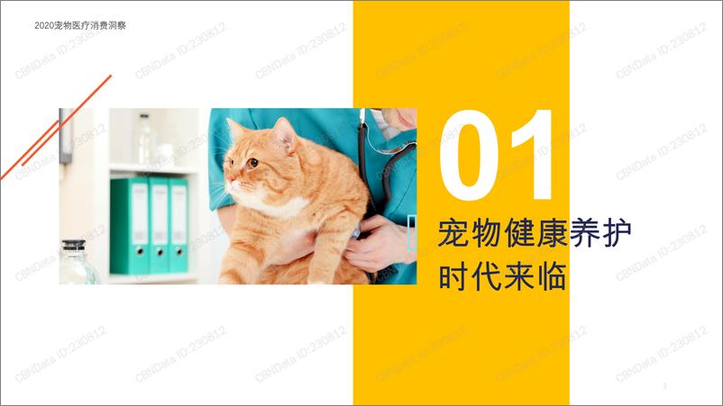 《第一财天猫-2020宠物医疗消费洞察报告-2020.8-47页》 - 第3页预览图