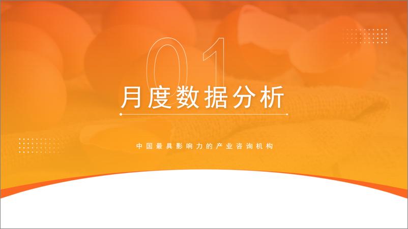 《中商产业研究院_2024年1-5月中国农产品行业经济运行月度报告》 - 第4页预览图