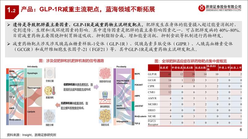 《减重药&CDMO行业专题报告：看好减重药高需求下CDMO潜力-20230628-浙商证券-45页》 - 第7页预览图