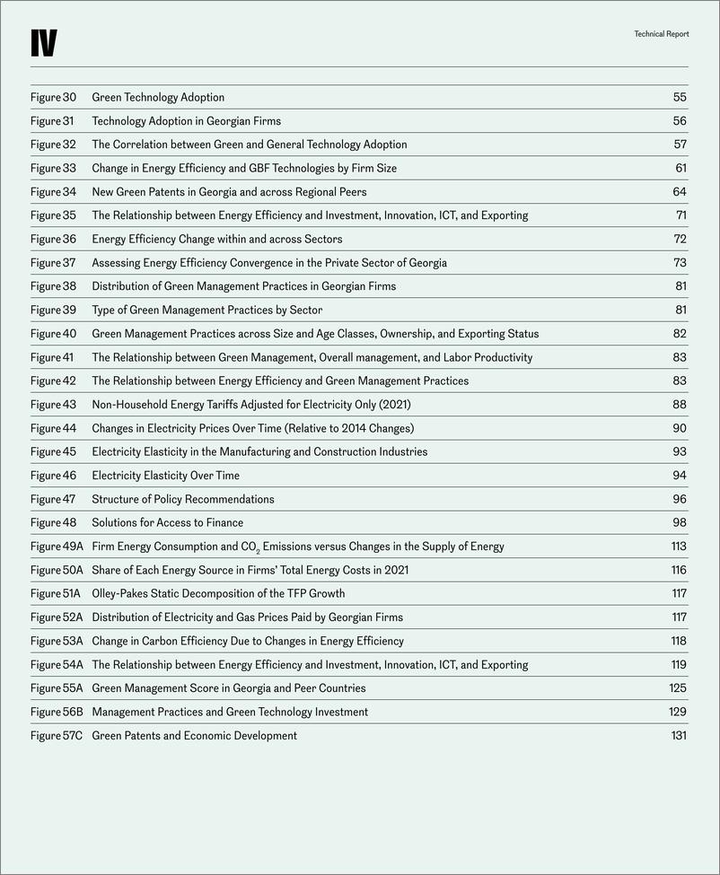 《世界银行-乔治亚州的绿化公司-技术报告（英）-2024-142页》 - 第7页预览图