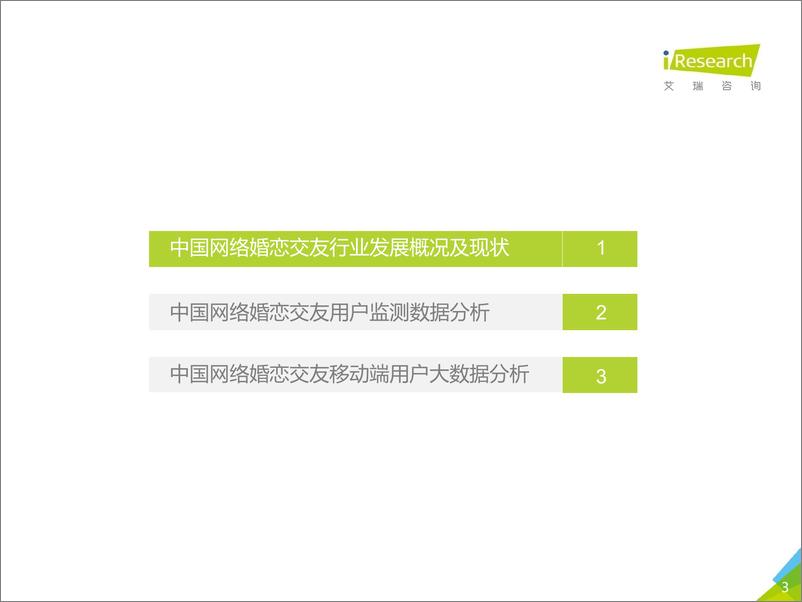 《2018年中国网络婚恋交友行业研究报告》 - 第3页预览图