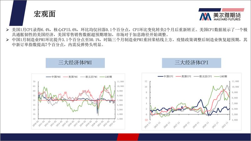 《铜月报：海内外宏观预期相悖，铜价震荡运行-20230228-美尔雅期货-26页》 - 第5页预览图