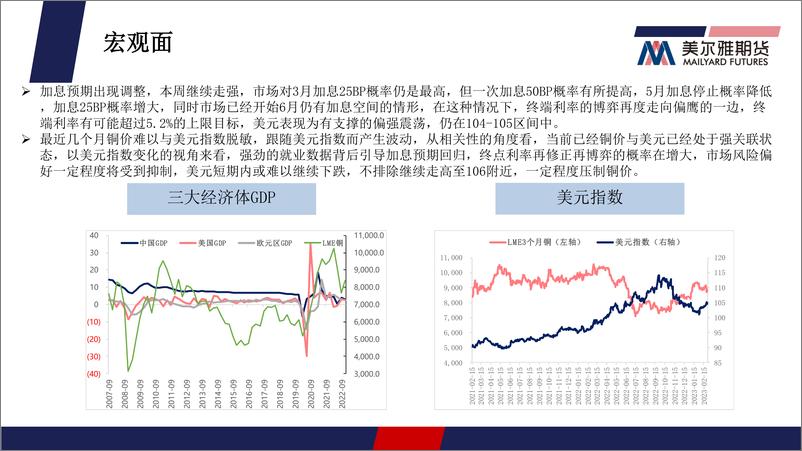 《铜月报：海内外宏观预期相悖，铜价震荡运行-20230228-美尔雅期货-26页》 - 第6页预览图