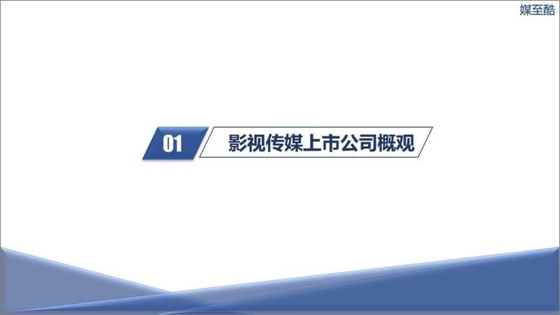 《2022影视传媒上市公司年度绩效数据报告-69页》 - 第5页预览图