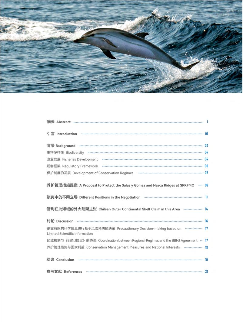 《2024年区域机制下的公海保护区建设实践报告——基于萨拉斯•戈麦斯和纳斯卡海脊禁渔区提案的讨论》 - 第6页预览图