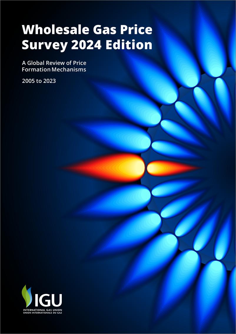 《2024年天然气批发价格调查报告（英文版）-国际气体联盟IGU》 - 第1页预览图