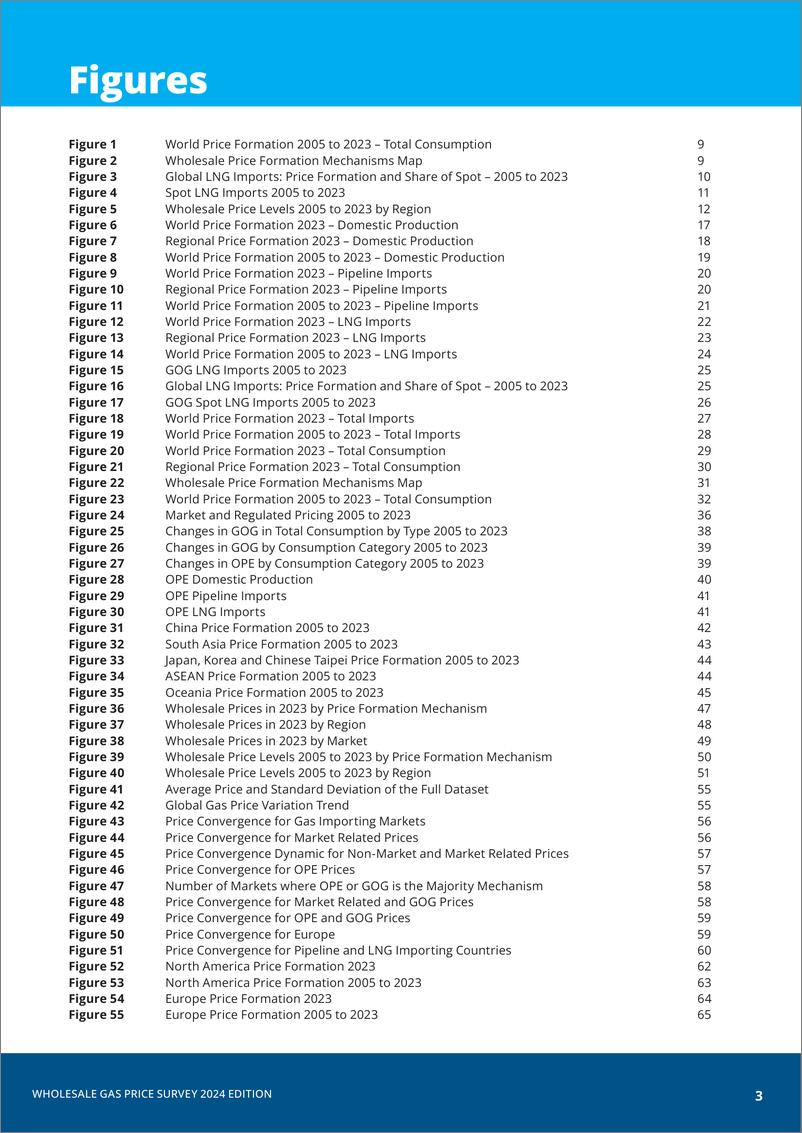 《2024年天然气批发价格调查报告（英文版）-国际气体联盟IGU》 - 第3页预览图