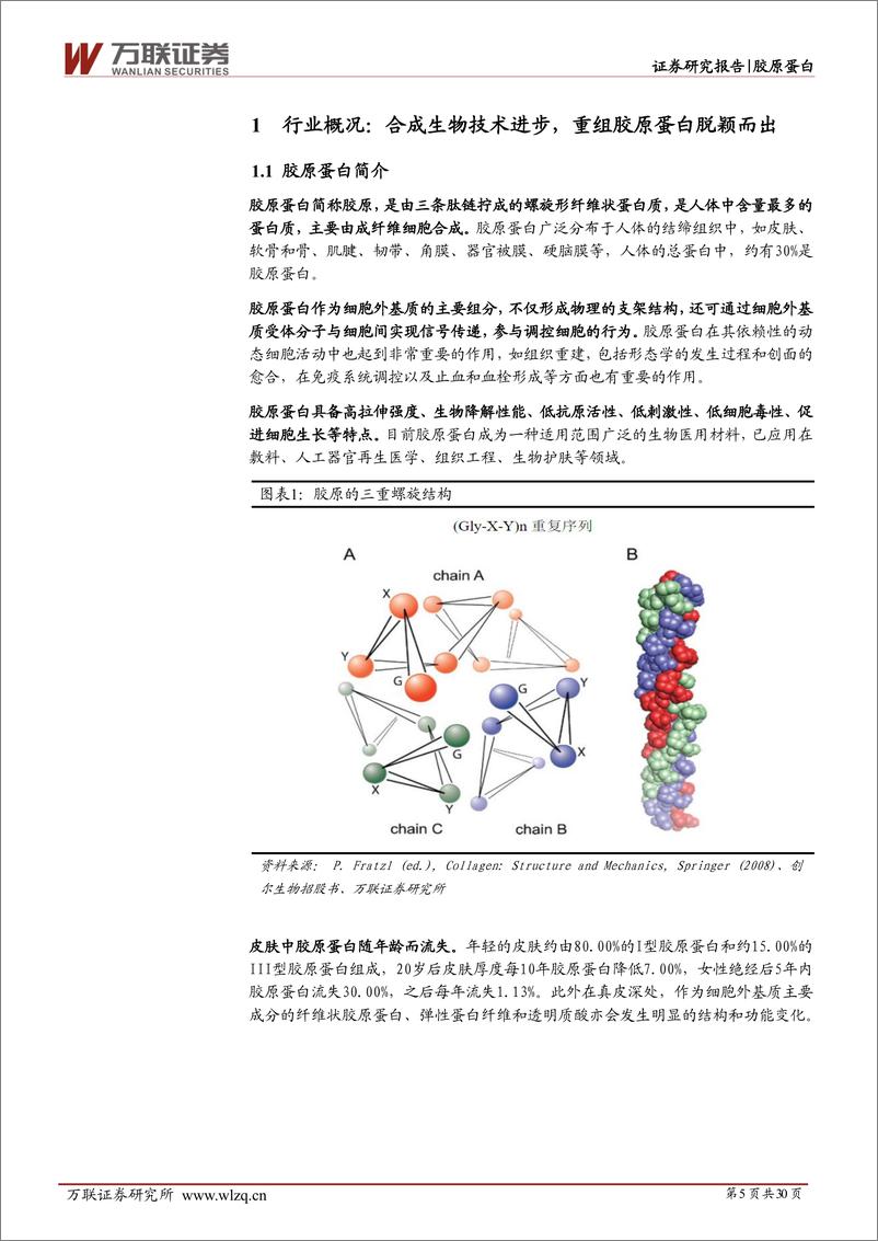 《胶原蛋白行业深度报告：重组胶原蛋白市场方兴未艾，从龙头巨子生物拆析赛道竞争要素-20220519-万联证券-30页》 - 第6页预览图