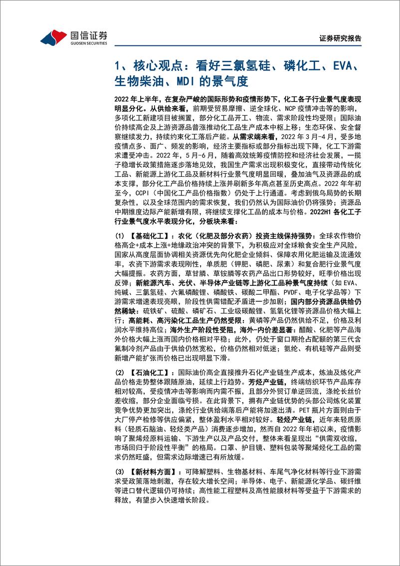 《化工行业2022年中期策略暨7月投资策略：看好确定性的新能源上游化工材料的投资方向-20220622-国信证券-37页》 - 第6页预览图