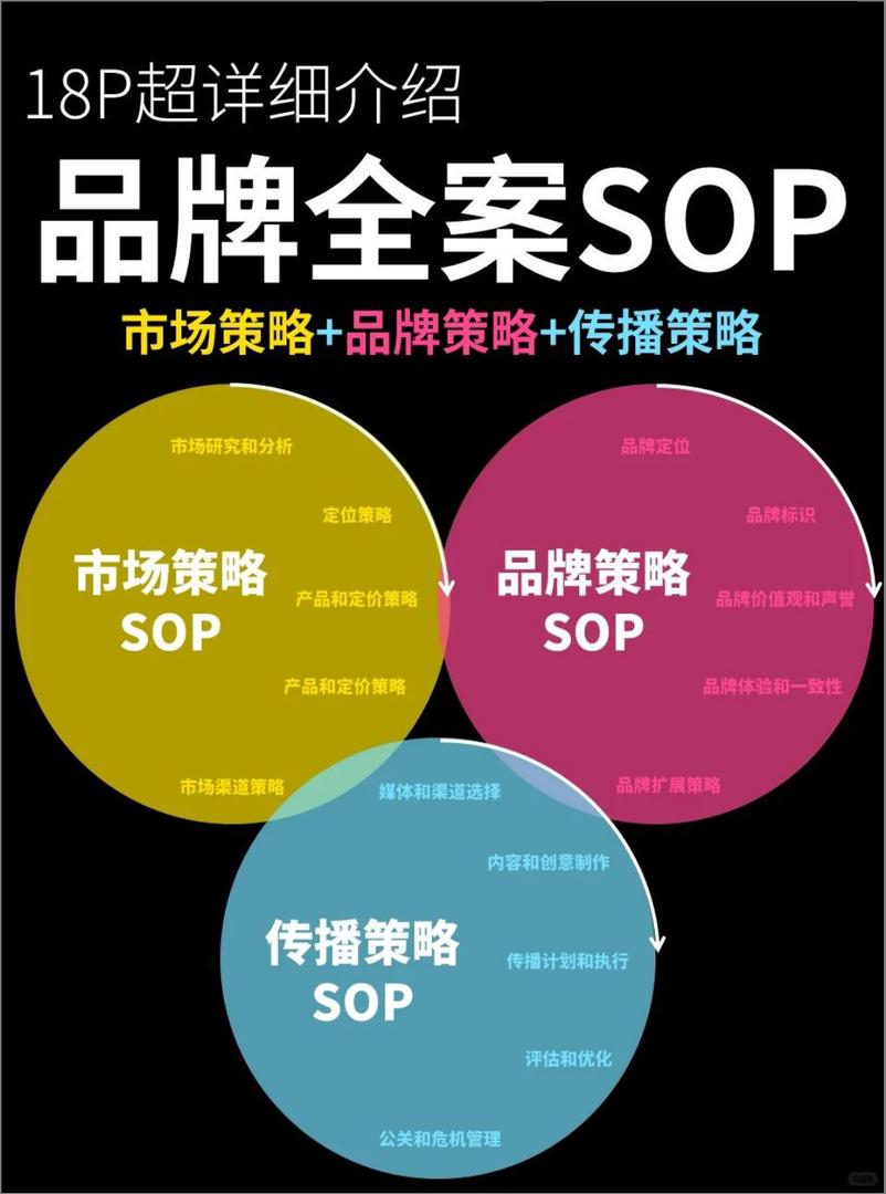 《超详细介绍：品牌全案策略SOP》 - 第1页预览图