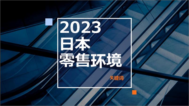 《日本超市观察：零售卖场动态及技术应用探究-孙维维-24页》 - 第4页预览图