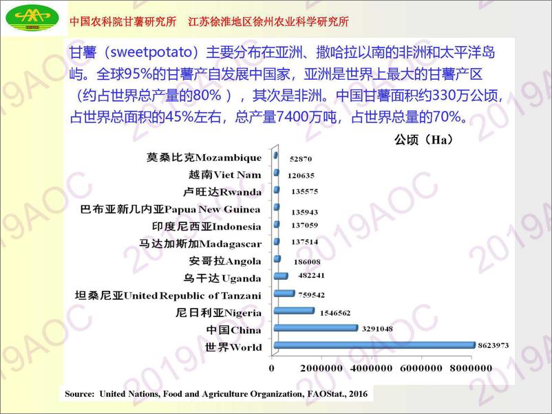 《2019中国农业展望大会：中国甘薯产业现状与展钮福祥，中国农业科学院甘薯研究所研究员-2019.4-53页》 - 第6页预览图