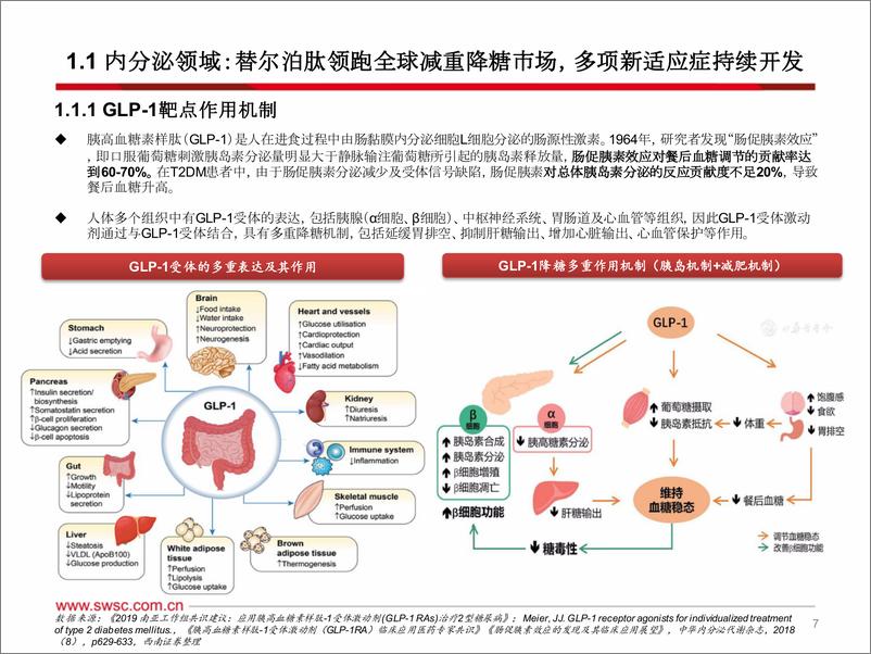 《西南证券-海外创新药龙头研究系列-一-：礼来LLY.N：从管线变动趋势看MNC未来研发策略-降糖领域加速兑现，肿瘤、自免管线持续加码》 - 第8页预览图