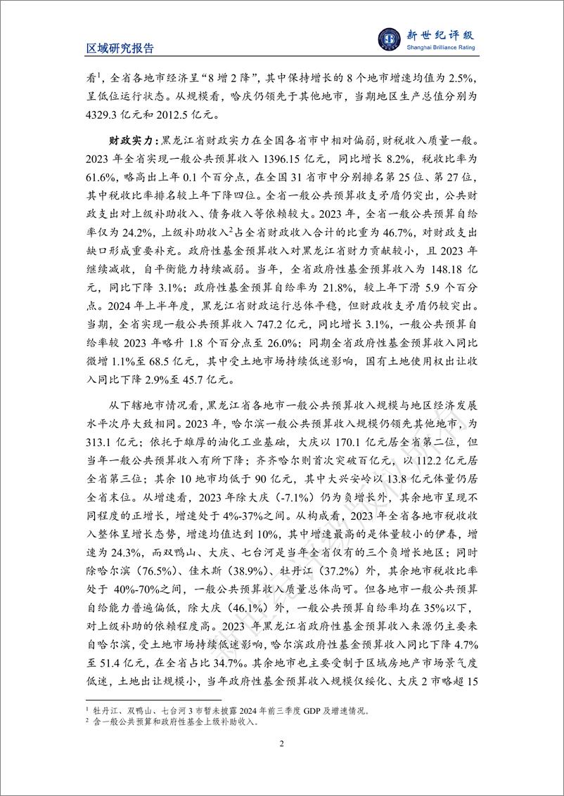 《黑龙江省及下辖各市_地区_经济财政实力与债务研究_2024_》 - 第2页预览图