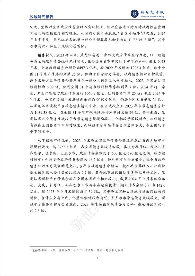 《黑龙江省及下辖各市_地区_经济财政实力与债务研究_2024_》 - 第3页预览图