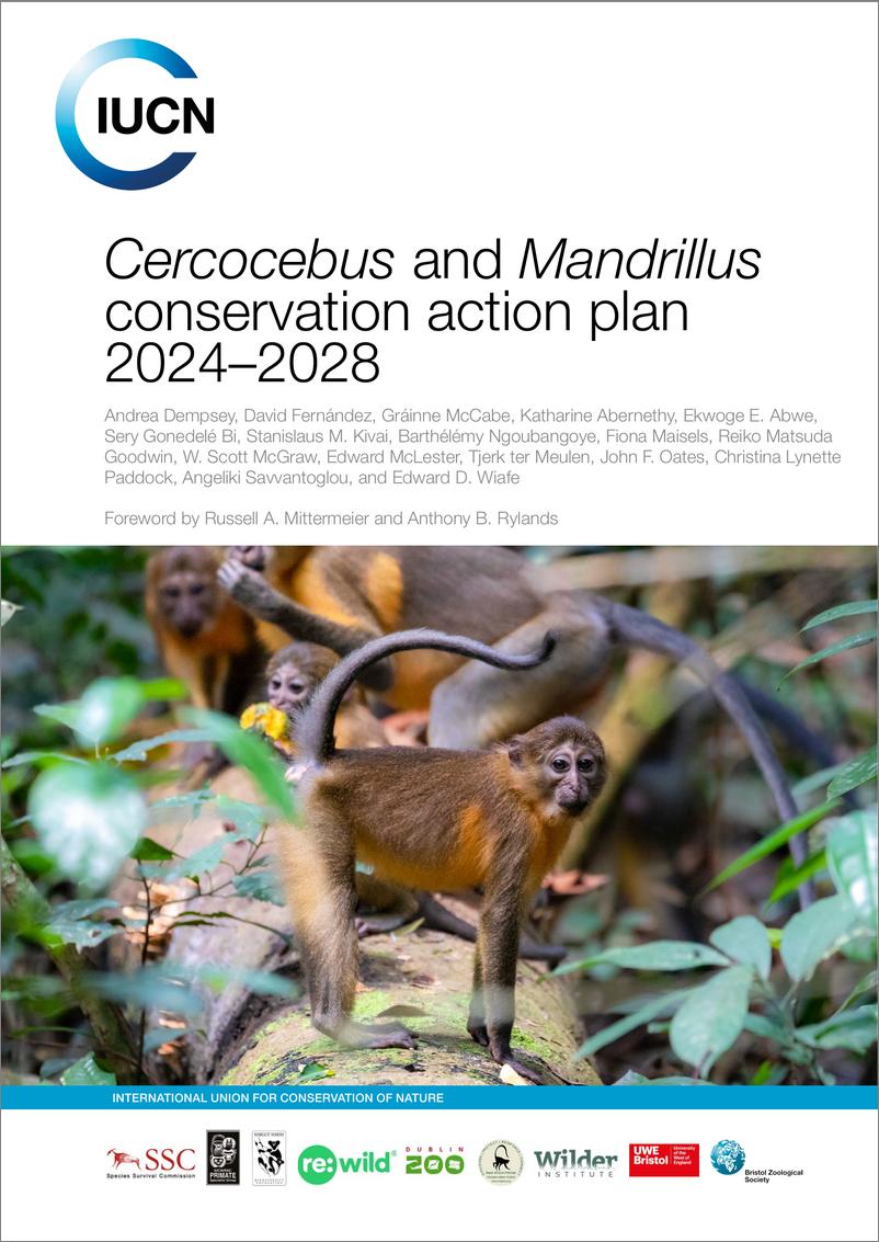 《IUCN-2024-2028年Cercocebus和Mandrillus保护行动计划（英）-100页》 - 第1页预览图