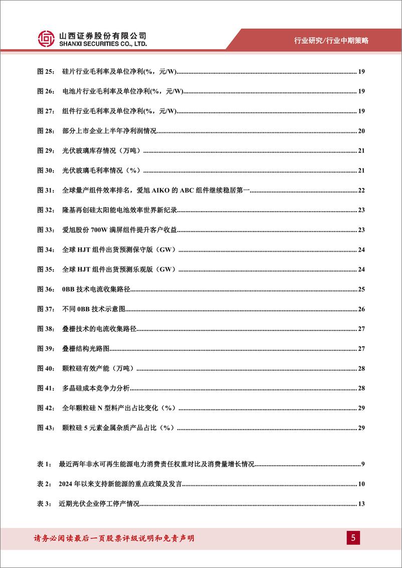 《光伏行业中期策略：不惧阵痛，低碳前行-240814-山西证券-33页》 - 第5页预览图