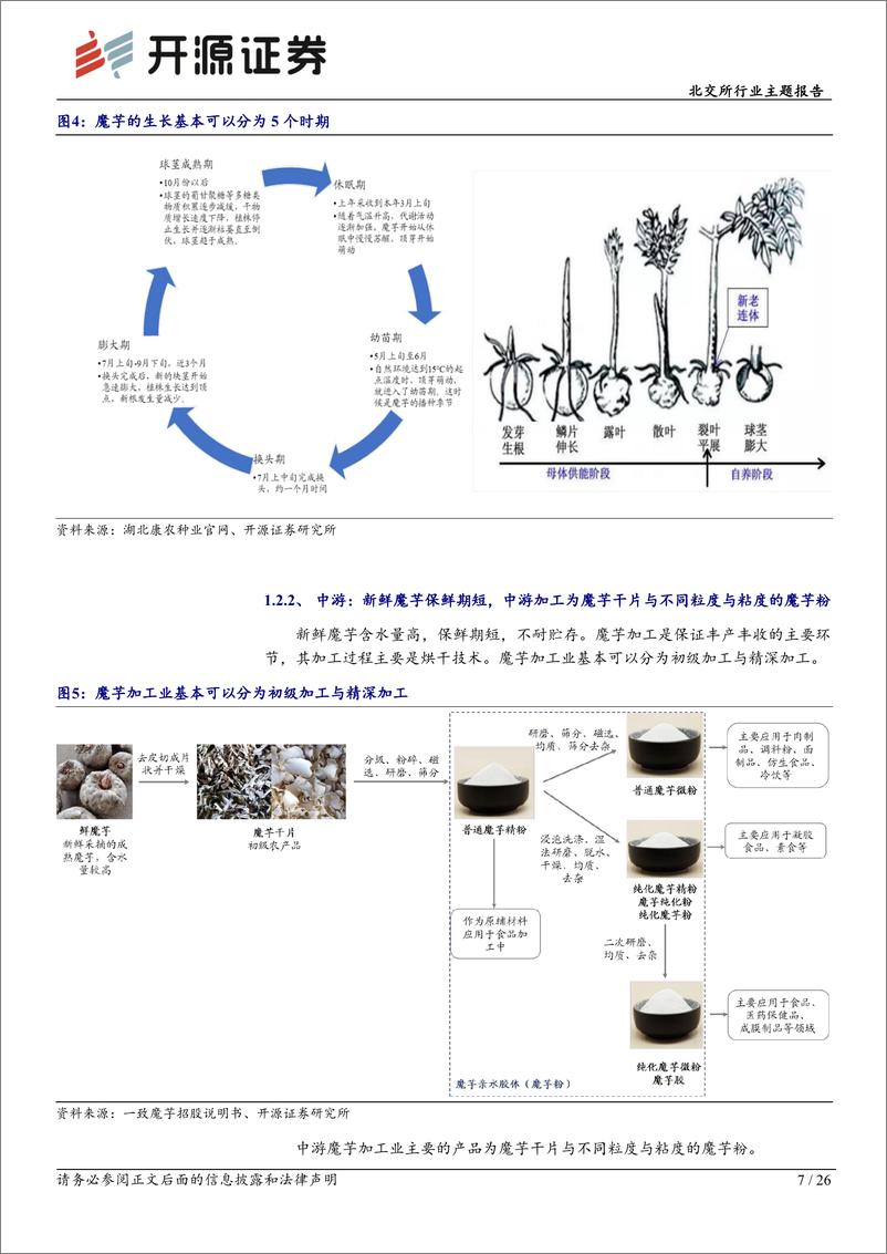 《北交所行业主题报告：魔芋热潮，健康食品新宠，晶球与零食潜力逐渐释放-250115-开源证券-26页》 - 第7页预览图