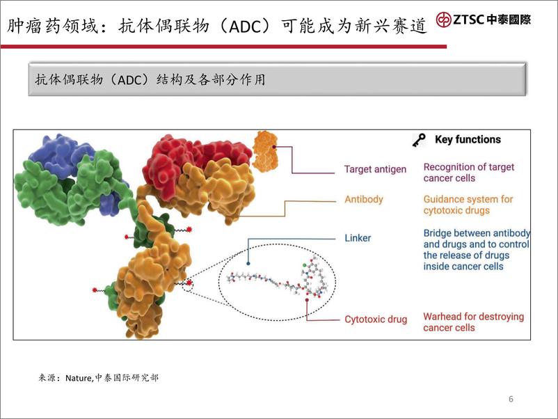 《全球抗体偶联物（ADC）市场研究-20240205-中泰国际证券-40页》 - 第6页预览图