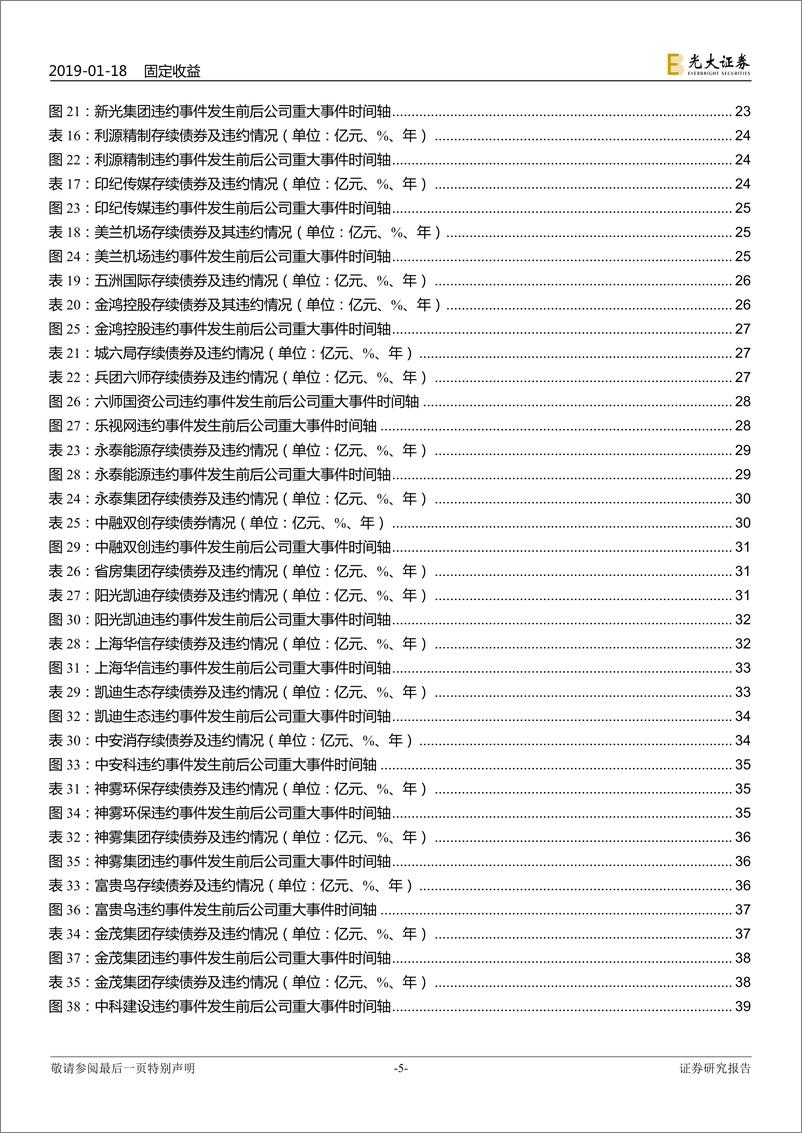 《2018年债券违约事件全梳理-光大证券-2019.1-48页》 - 第6页预览图