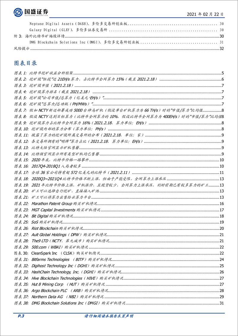 《区块链行业专题研究：全球比特币挖矿股全景，机构入场，“狂揽”算力-20210222-国盛证券-33页》 - 第3页预览图