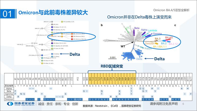 《医药行业专题：Omicron BA.45亚型全解析-20220708-国泰君安-25页》 - 第7页预览图