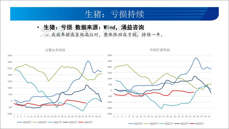 《生猪月报：旺季之后，下一轮上涨曙光初现-20231102-宏源期货-21页》 - 第8页预览图