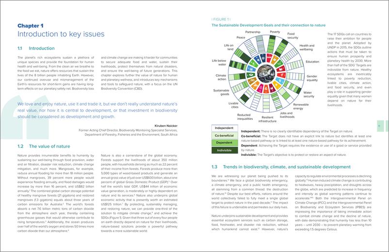 《UNDP-综合空间规划手册（英）-2022.11-92页》 - 第8页预览图