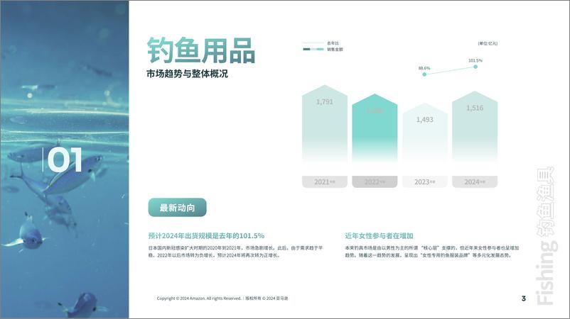 《2024钓鱼用品日本机会品类动向调查》 - 第4页预览图