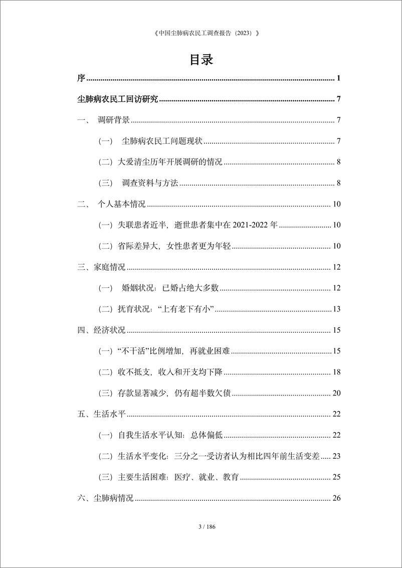 《2023中国尘肺病农民工调查报告》 - 第4页预览图